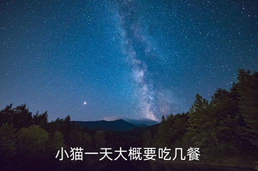 小貓一天大概要吃幾餐