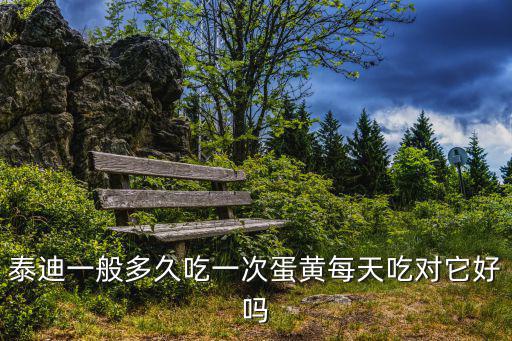 泰迪一般多久吃一次蛋黃每天吃對它好嗎