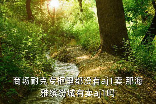 商場耐克專柜里都沒有aj1賣 那海雅繽紛城有賣aj1嗎