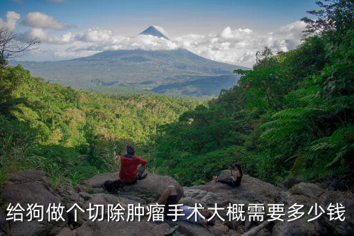 狗狗囊腫開刀多少錢，請問做囊腫手術要多少錢