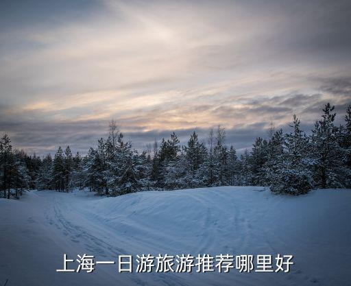 上海一日游旅游推薦哪里好