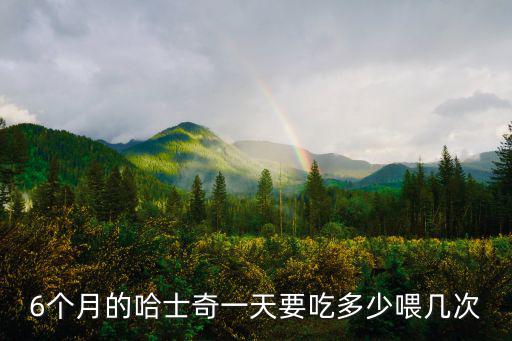 哈士奇6斤一頓要吃多少狗糧，6個月的哈士奇一天要吃多少喂幾次