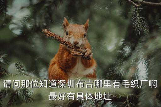 請問那位知道深圳布吉哪里有毛織廠啊最好有具體地址