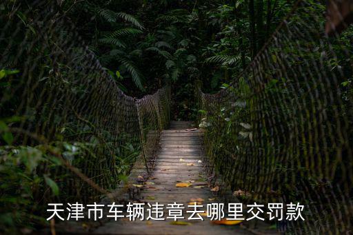 天津市哪有代繳罰款，天津汽車違章交罰款去哪交