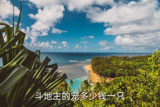 斗地主的寵多少錢一只