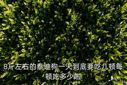8斤左右的泰迪狗一天到底要吃幾頓每頓吃多少啦