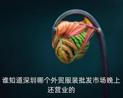 誰知道深圳哪個外貿服裝批發市場晚上還營業的