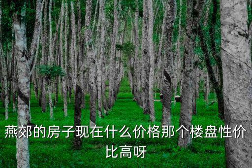 燕郊的房子現在什么價格那個樓盤性價比高呀