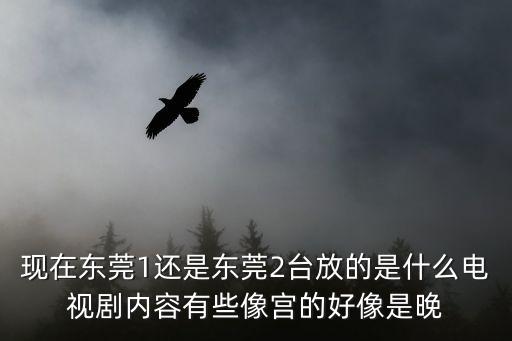 現(xiàn)在東莞1還是東莞2臺(tái)放的是什么電視劇內(nèi)容有些像宮的好像是晚
