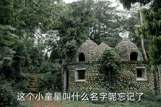 這個小童星叫什么名字呢忘記了