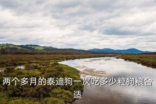 兩個(gè)多月的泰迪狗一次吃多少粒狗糧合適