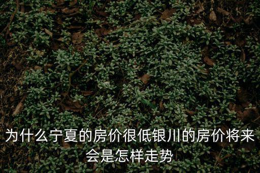 為什么寧夏的房價(jià)很低銀川的房價(jià)將來會(huì)是怎樣走勢(shì)
