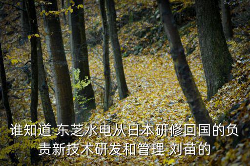 劉苗老師，劉苗的介紹
