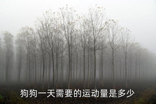 狗狗一天需要的運(yùn)動(dòng)量是多少