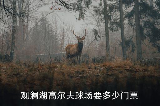 深圳高爾夫要門票嗎，深圳福田羅湖高爾夫練習場收費