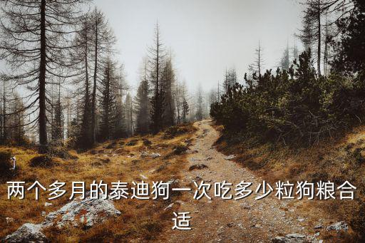 兩個多月的泰迪狗一次吃多少粒狗糧合適