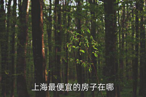 上海最便宜的房子在哪