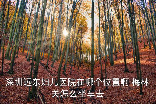 深圳遠東婦兒醫院在哪個位置啊 梅林關怎么坐車去