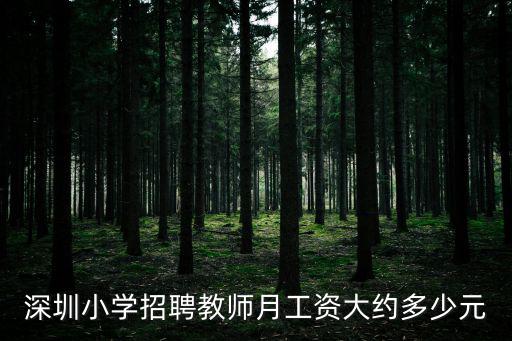 深圳小學(xué)招聘教師月工資大約多少元
