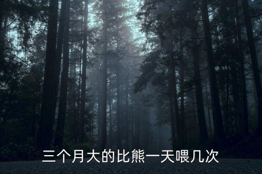 三個月大的比熊一天喂幾次