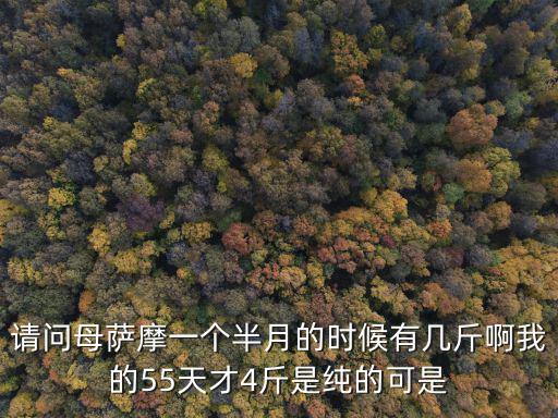 請問母薩摩一個半月的時候有幾斤啊我的55天才4斤是純的可是
