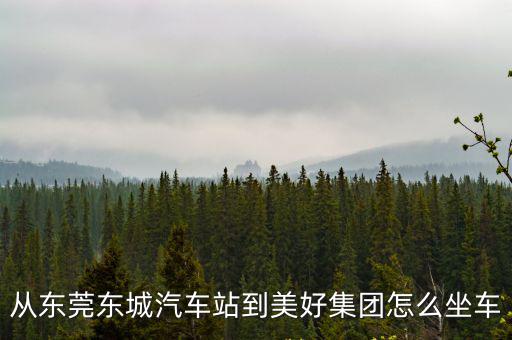 從東莞東城汽車站到美好集團怎么坐車