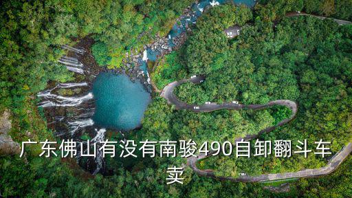 廣東佛山有沒有南駿490自卸翻斗車賣