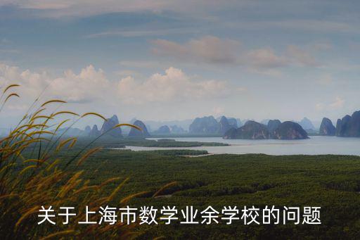 上海市中學生業余數學，上海市中學生業余數學學校高中的地址在哪里10月份去考試找不到
