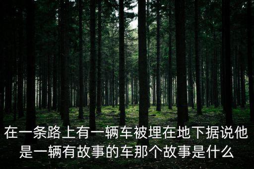 深圳地下埋著的車，深圳市的泥土車今年撞死了幾個人