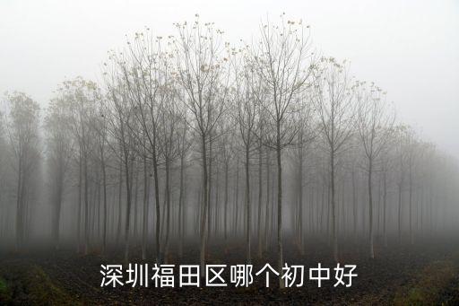 深圳福田區(qū)哪個(gè)初中好