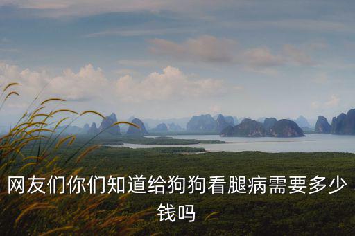 給狗狗治腳多少錢，狗狗腳斷了看病要多少錢