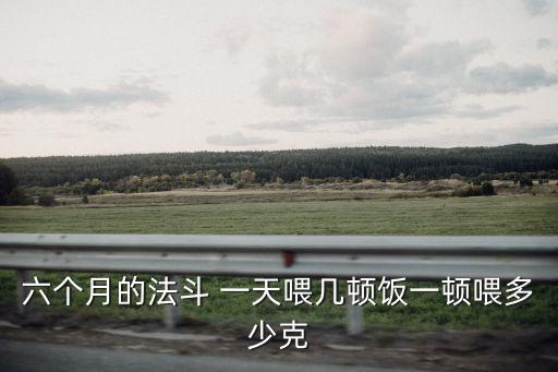 六個月法牛一天吃多少錢，大家的母法國斗牛6個月多少斤