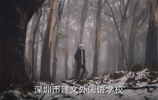 深圳市建文外國語學校