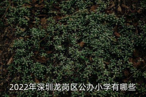 2022年深圳龍崗區公辦小學有哪些