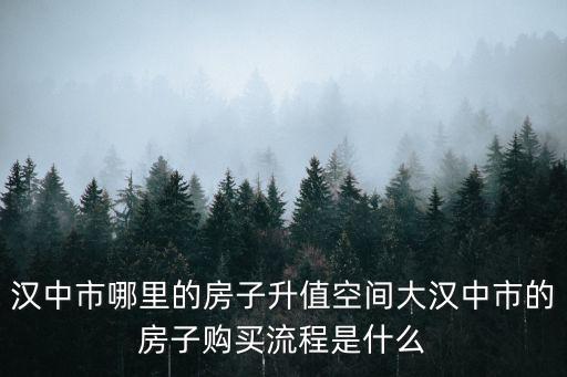 漢中市哪里的房子升值空間大漢中市的房子購買流程是什么
