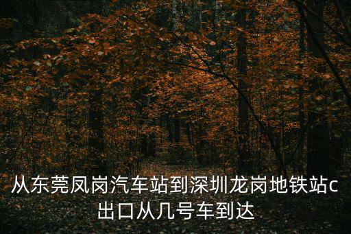 從東莞鳳崗汽車站到深圳龍崗地鐵站c出口從幾號車到達