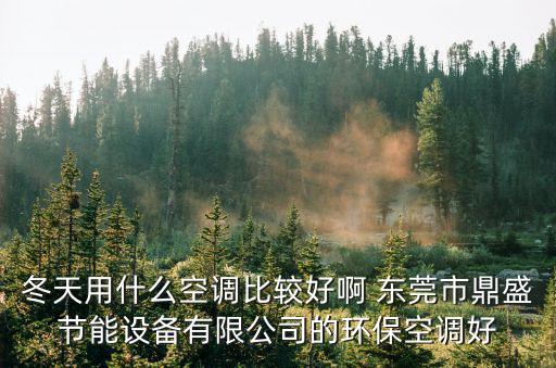 東莞鼎盛家具有限公司，冬天用什么空調比較好啊 東莞市鼎盛節能設備有限公司的環保空調好