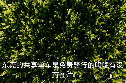 東莞的共享單車(chē)是免費(fèi)騎行的嗎嗯有沒(méi)有圖片