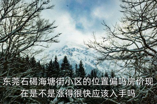 東莞石碣海塘街小區的位置偏嗎房價現在是不是漲得很快應該入手嗎