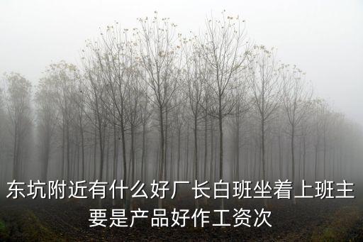 東坑附近有什么好廠長白班坐著上班主要是產品好作工資次