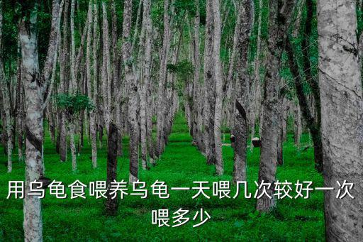 用烏龜食喂養烏龜一天喂幾次較好一次喂多少