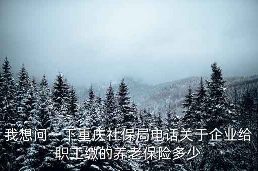 我想問一下重慶社保局電話關于企業(yè)給職工繳的養(yǎng)老保險多少