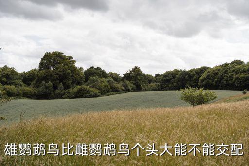 雄鷯哥比雌鷯哥個子大多少，鷯哥飼養雌的好還是雄的好為什么