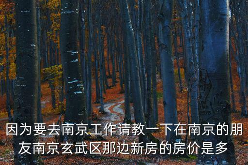 玄武區哪個小區房價高些，南京玄武湖現在的房價多高