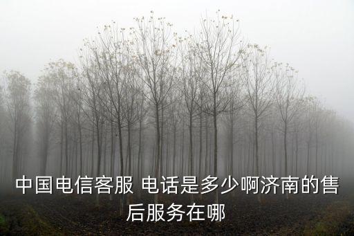 中國電信客服 電話是多少啊濟南的售后服務(wù)在哪