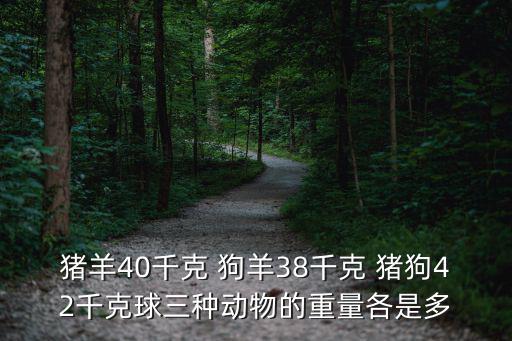 豬羊狗的體重各是多少千克，豬羊40千克 狗羊38千克 豬狗42千克球三種動物的重量各是多