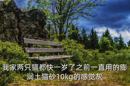 10l膨潤土貓砂是多少斤，我家兩只貓都快一歲了之前一直用的膨潤土貓砂10kg的感覺灰