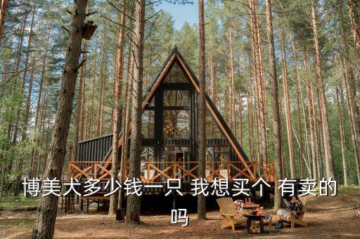 博美犬多少錢一只 我想買個 有賣的嗎