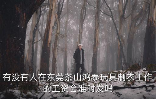 有沒有人在東莞茶山鴻泰玩具制衣工作的工資會準時發嗎