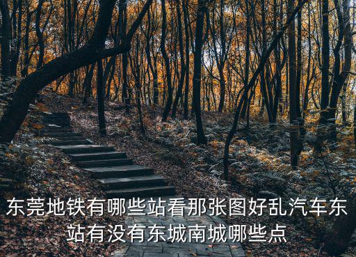 東莞地鐵有哪些站看那張圖好亂汽車東站有沒有東城南城哪些點